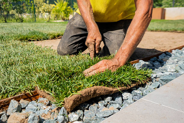 istock Laying Sod Near Stone Border 2229720393