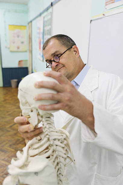 Senior Professor 50+ in a White Lab Coat and Glasses Gives a Lecture in a Classroom, Pointing to a Skeleton Model. The Scene Highlights His Expertise and Dedication to Teaching, As He Uses the Model to Illustrate Key Concepts in Anatomy or Biology. The Classroom Setting Emphasizes the Educational Environment and the Professor's Role in Sharing Knowledge.