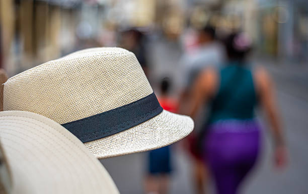 istock Stylish Straw Hat Against a Blurred Street Background 2229732848