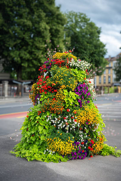 istock Vibrant Flower Mound in Urban Setting 2229732891