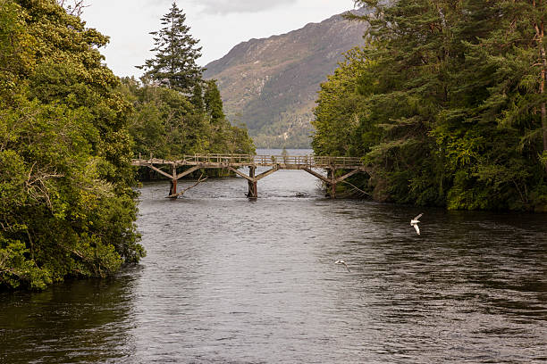 istock A bridge spans a river with a bird flying over it 2229737479