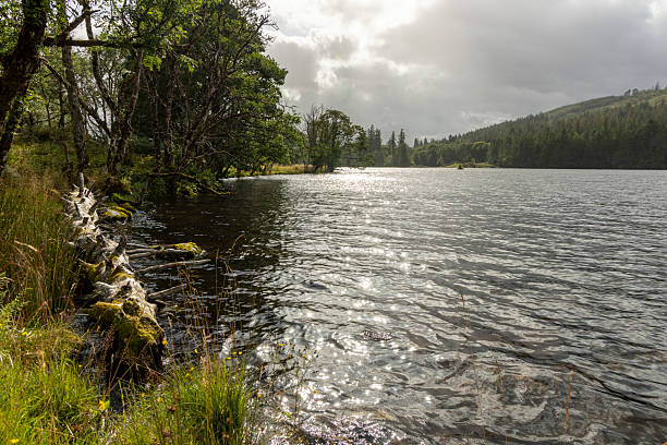 istock A lake with a rocky shoreline and trees in the background 2229737809