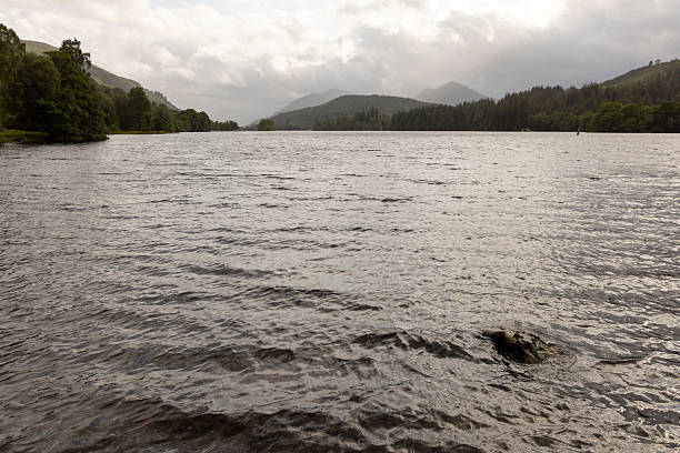 The water is calm and still, with a few ripples here and there