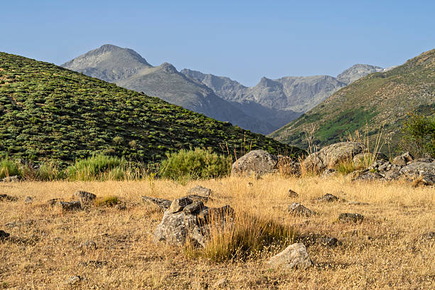 Landscape in the Gredos mountain range in summer