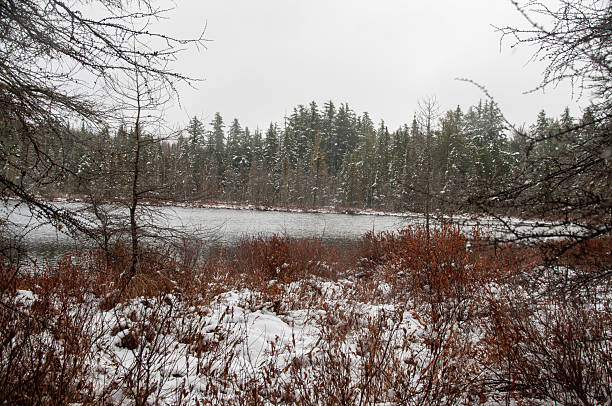 istock A lake surrounded by a snowy Canadian forest in winter 2229747855