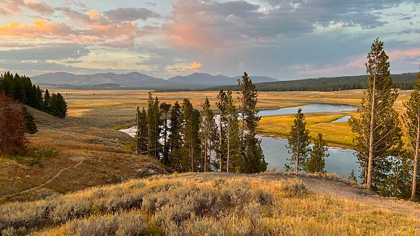 istock Golden Stillness over Hayden Valley 2229750171