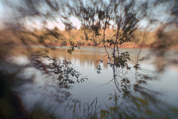 Abstract view of lake framed by branches and leaves