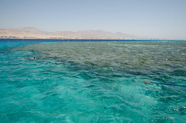 Crystal-clear water contrasts with arid mountains under bright sky. Vibrant hues and calm sea create serene natural landscape, capturing Red Seas beauty