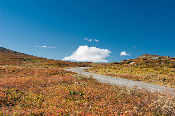 The view from the hiking trail in Joutunheimen National Park in Norway on a sunny day in autumn (late September). The image was captured with a full frame DSLR camera with a fast, sharp lens at low ISO resulting in a large, clean file. The image is part of a large series of photographs of Jotunheimen at various seasons.