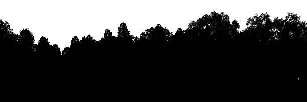 istock Tree line silhouette panorama on transparent background, 3d rendering cutout illustration 2229761219