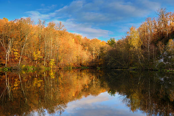 istock Gorgeous view of lake and autumn forest park, shadow reflecting on water surface. 2229762113