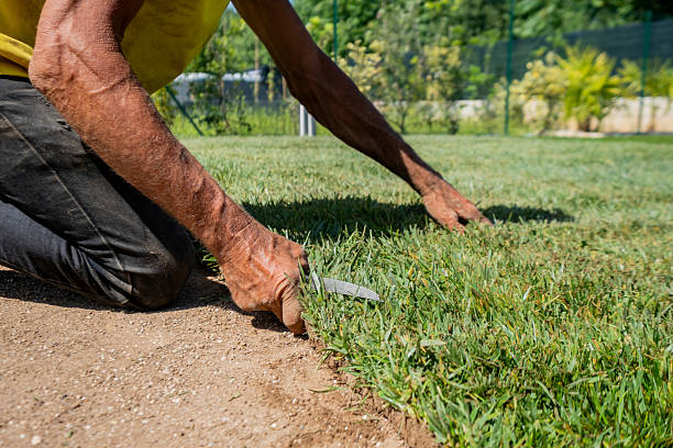 istock Trimming Lawn Edge with Precision Knife 2229764988