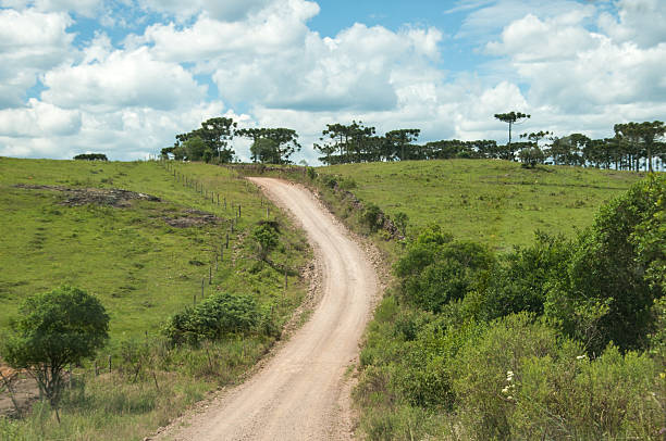 Dirt road in the field, Brazil