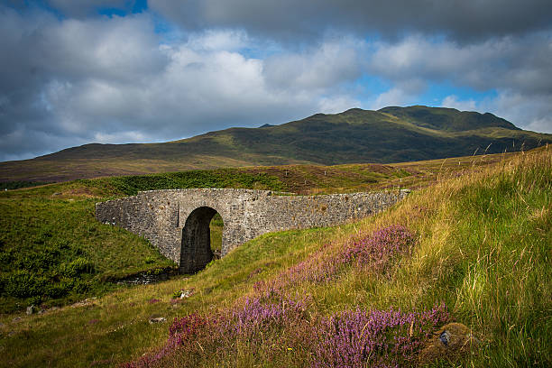 On the way to the Ben Lawers carpark a little stone bridge, heathers in bloom, mountains in the distance, cloudy hot summer day