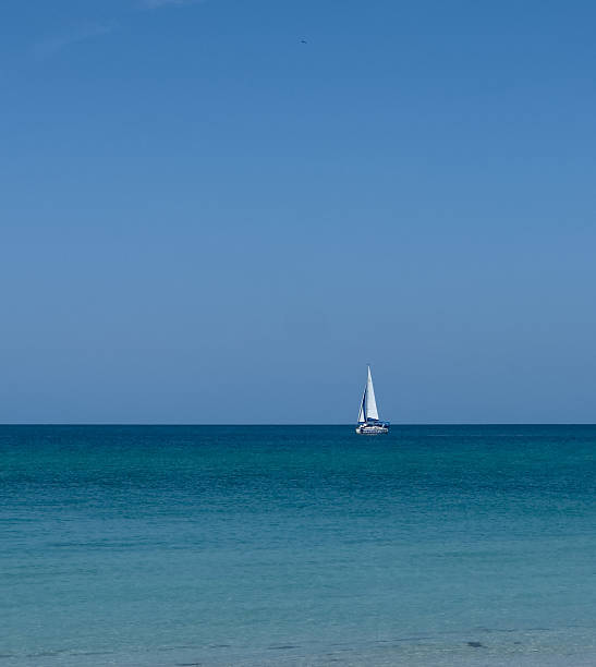 istock Crisp blue water horizon with a single sailboat 2229785815