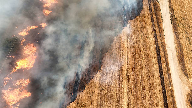 istock Spreading Wildfire Across Dry Farmland 2229788196