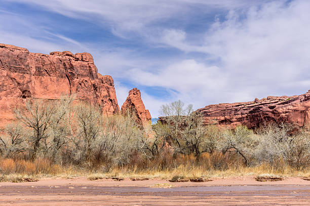 istock Canyon de Chelly from the Canyon Road 2229790198