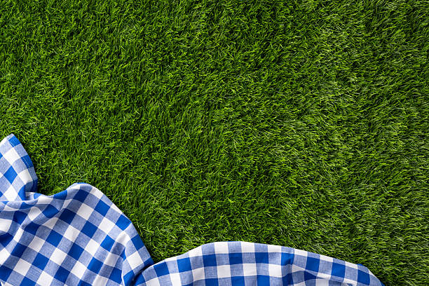 istock A blue checkered cloth placed on a fresh, green grass surface, suggesting a relaxed outdoor gathering 2229790959