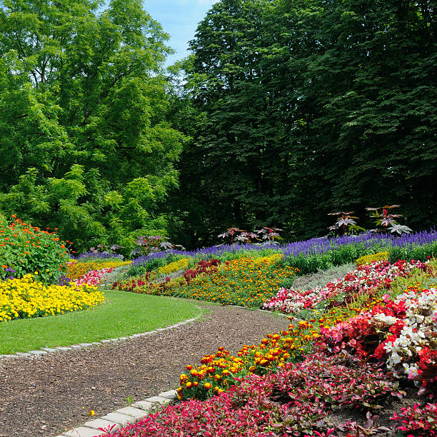istock Flowerbed in gardens and parks. 2229791131