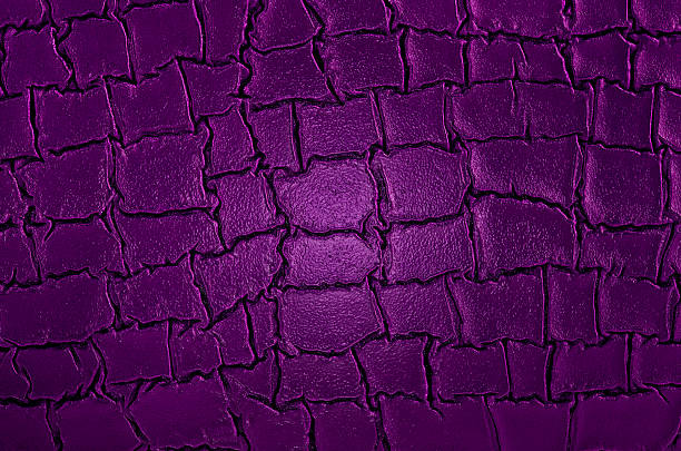 Violet alligator skin, as background. Alligator leather texture. Luxurious crocodile imitation leather texture.