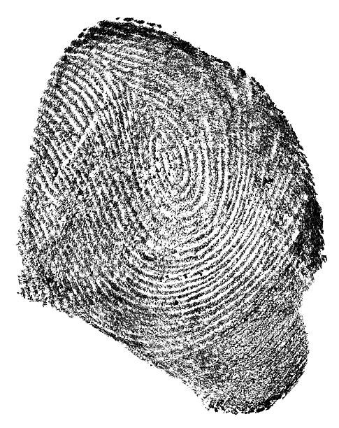 istock Single black fingerprint isolated on a white background, top view. 2229791210
