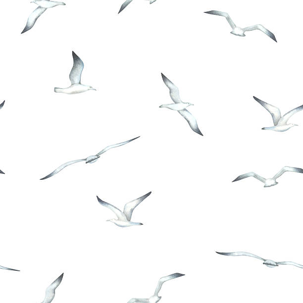 istock Seamless pattern with flying seagulls. Hand drawn watercolor illustration of sea birds on white background. Nautical ornament for Baby design, wallpaper, textiles, wrapping paper in monochrome colors 2229792715