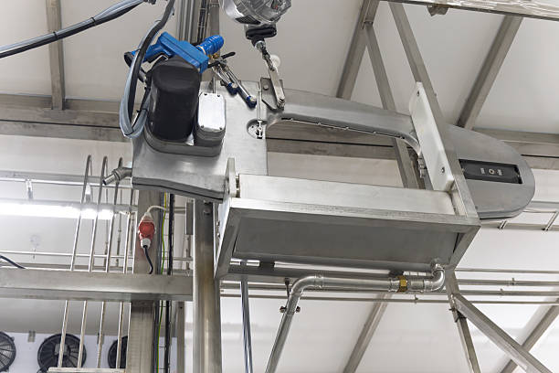 istock meat processing plant abattoir, brisket saw with balancer, cattle slaughter machine , hanging frame metal on the ceiling 2229802676