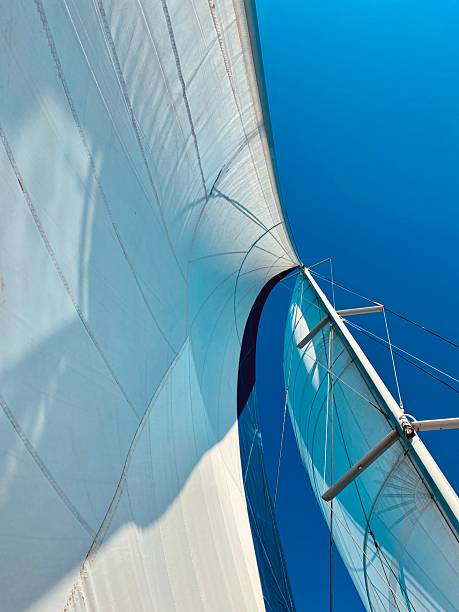 Striking close-up view of white catamaran sails billowing against a vivid blue sky, captured from below for a dynamic, abstract composition. The sunlight highlights the curve and texture of the sails, evoking freedom, adventure, and the spirit of sailing. A perfect image for themes of nautical travel, summer leisure, and marine sport.