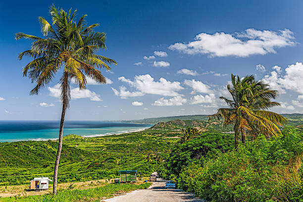 istock Beautiful Barbados Shoreline 2229813440