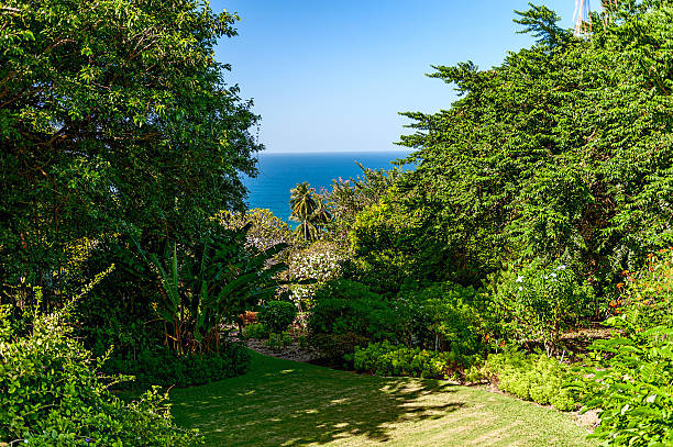 istock Beautiful Barbados Shoreline 2229813608