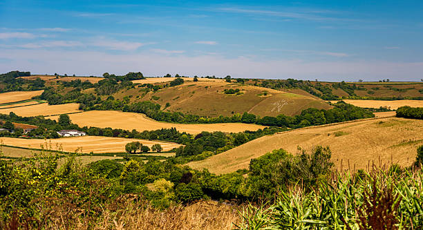 istock Cerne Abbas Giant on a sunny summer day 2229813846