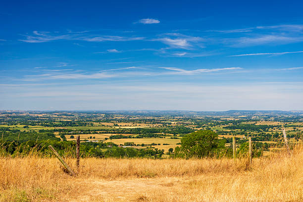 Sun-bleached grasslands in the Blackmore Vale in Dorset on a hot summer's day