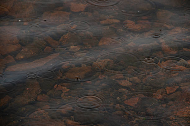 A detailed close-up showing the concentric ripples created by falling raindrops on a body of water with a stony bottom visible beneath the surface.