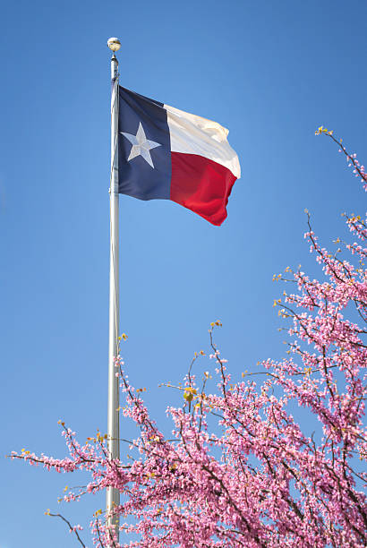istock Texas flag waving in the wind on flagpole 2229822123