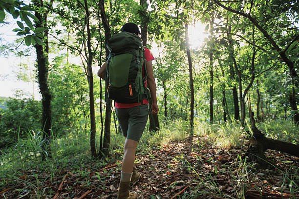 Woman hiker hiking on forest trail