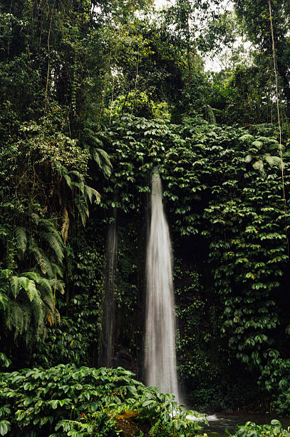 Twin Streams at Benang Stokel Waterfall in Lush Forest, Lombok in Lombok, Nusa Tenggara Barat, Indonesia