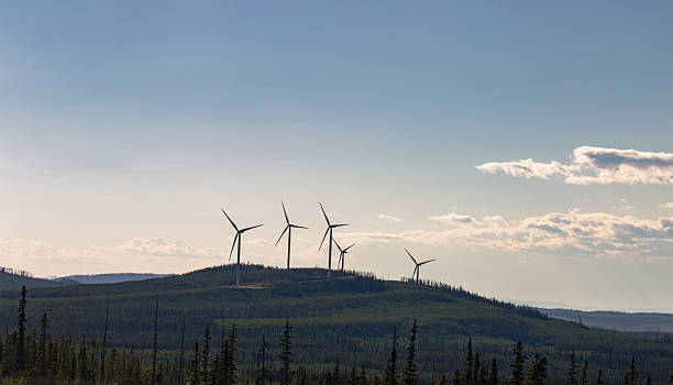 istock Wind Turbines Stretch Across a Forested Ridge at Dusk 2229827575