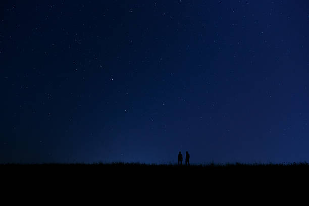 istock Night star trail sky over illuminated wildflowers in foreground, long exposure astrophotography landscape. g 2229833017