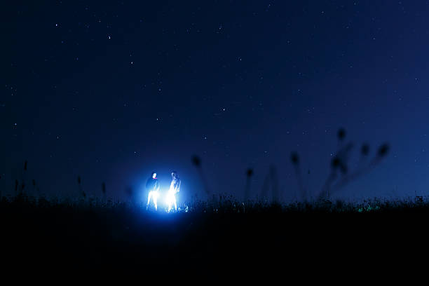 Night star trail sky over illuminated wildflowers in foreground, long exposure astrophotography landscape. g.