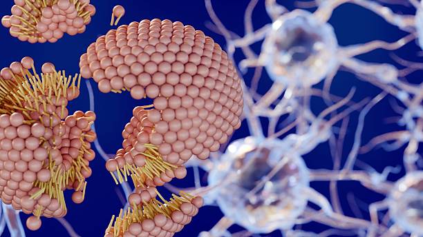 istock Liposomes disintegrating within the brain's neural network. 2229837921