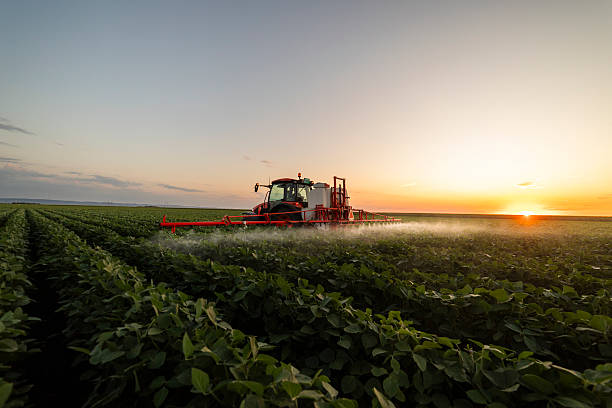 istock Tractor spraying crops in a lush green field at sunset. 2229842254