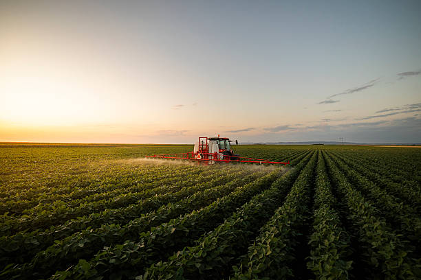 istock Tractor spraying crops in a lush green field at sunset. 2229842260