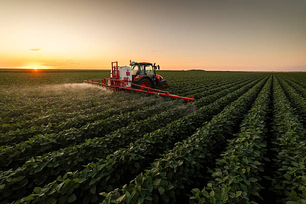 istock Tractor spraying crops in a lush green field at sunset. 2229842274