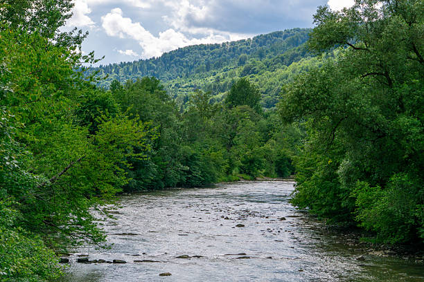 istock San River in a mountainous landscape, surrounded by dense forests and hills, flowing under a partly cloudy sky. 2229845270