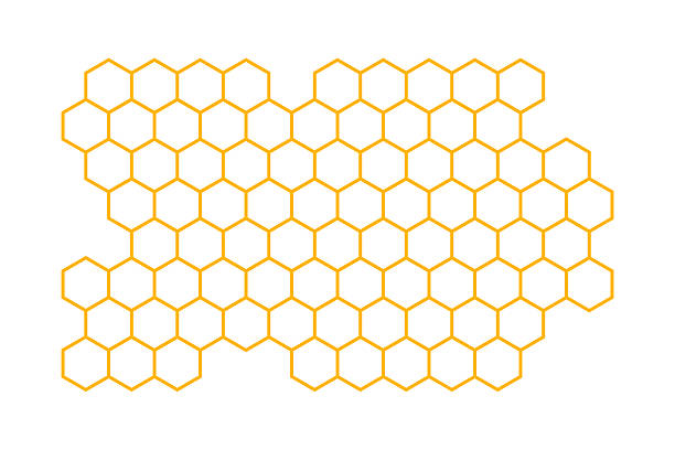 Propolis Honeycomb. Honeycomb outline pattern structure. Honey, pollen, wax, parchment and bee products in sketch style. Stock vector illustration isolated on a white background.