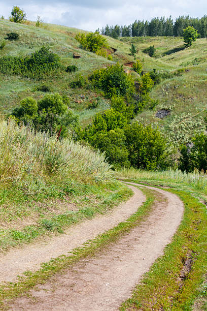 istock A dirt road winds through a lush green hillside 2229859329