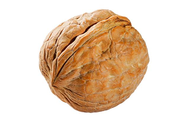 Nuts: Walnut Isolated on White Background