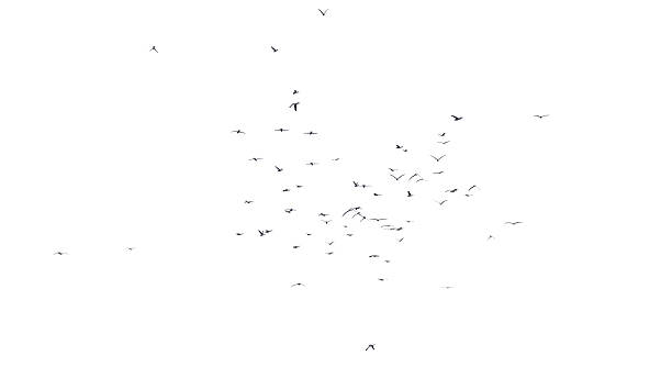 istock Silhouette Flock Of Birds On white background. 3D Render 2229860901