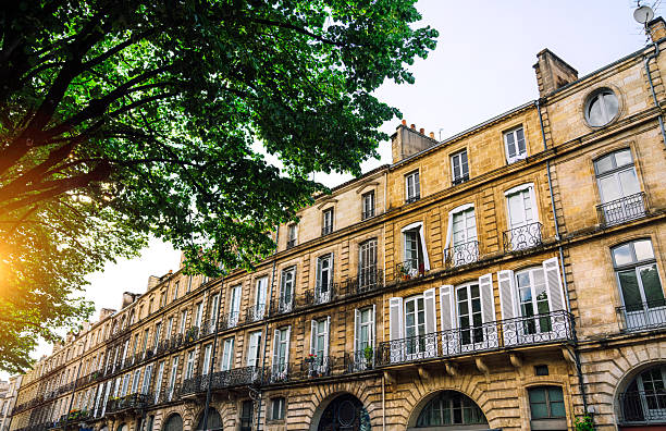 Elegant Bordeaux Architecture Under Sunlit Green Canopy