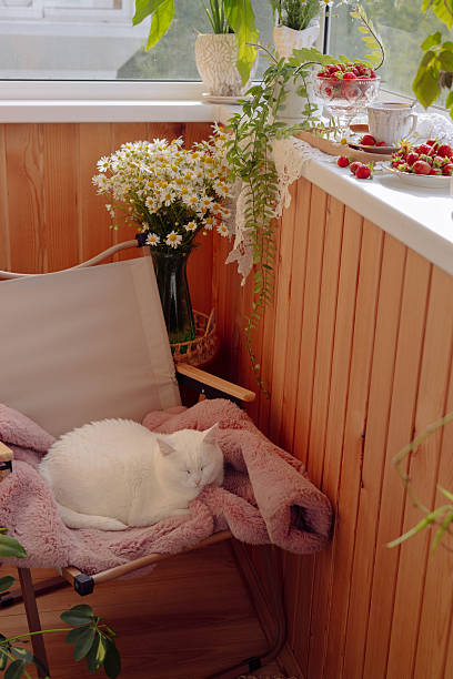 A white cat rests peacefully on a soft blanket in a cozy balcony corner. Fresh flowers decorate the space, and sunlight streams in, creating a warm, inviting atmosphere.